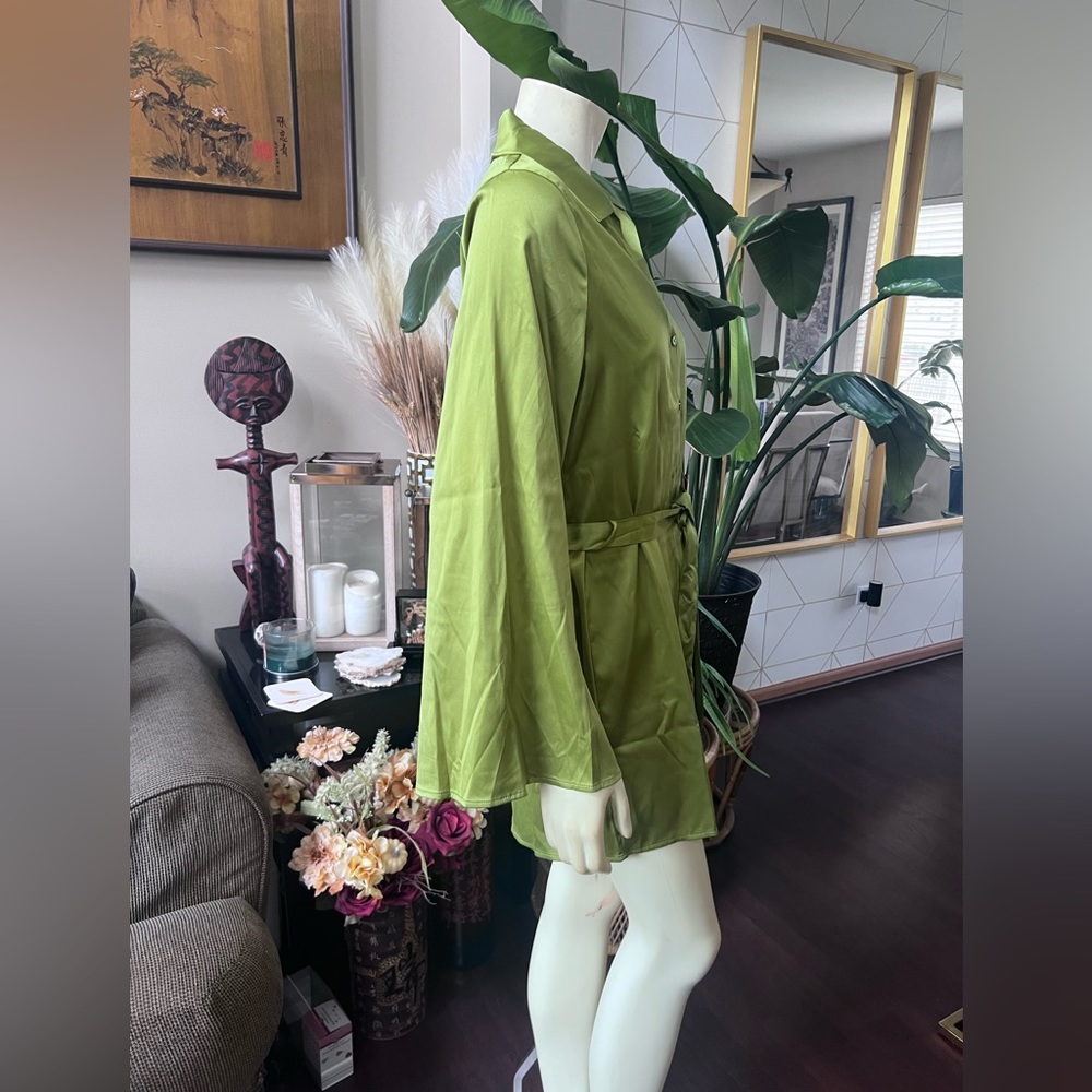 SHIRT DRESS W/ TIE - Picture 4 of 5